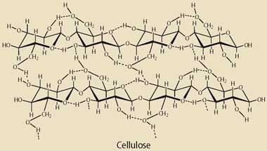 cellulose