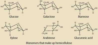 Monomers that make up hemicellulose