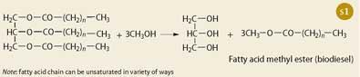 Scheme 1 - Synthesis of biodiesel