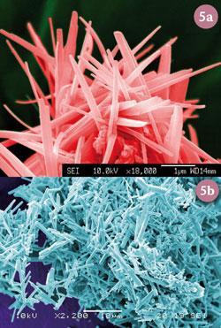 Fig 5 (a) - SEM image showing magnetoresistive manganite nanonwires