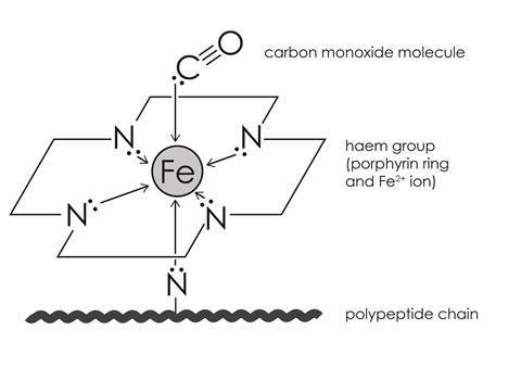 A diagram of the carboxyhaemoglobin complex, with a coordinate bond from the carbon lone pair on the carbon monoxide molecule to the central Fe2+ ion in the haem group. There is a triple bond between C and O in the carbon monoxide ligand. There is also a