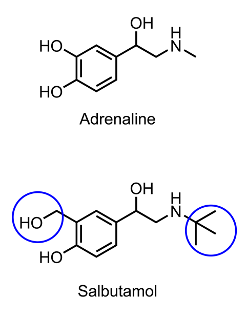 An image showing the structures of adrenaline and salbutamol