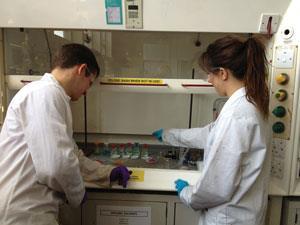 Students working at a fume cupboard