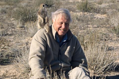 David Attenborough with a meerkat sitting on his shoulder