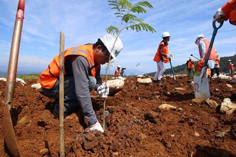 A man wearing a hard hat and hi-vis vest planting a tree in rough ground