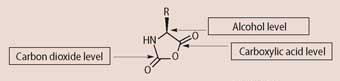 image - feature - mccaw - box 1 question c structure