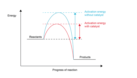 A graph showing how catalyst reduces the energy needed for a reaction