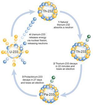 Diagram of the decay process