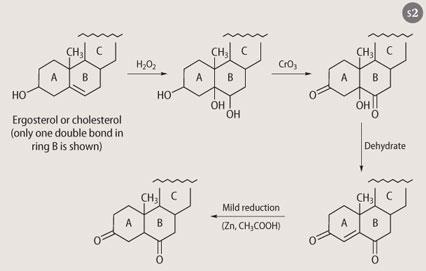 Scheme 2 - Ergosterol or cholesterol reactions