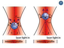 Figure 7 - A ray diagram showing how the bead is held in place