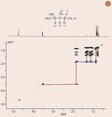 Figure 1 - The 1H-1H COSY spectrum of the amonio acid isoleucine