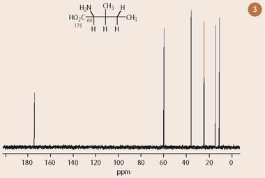 Figure 3 - One dimensional 13C-nmr spectrum of isoleucine