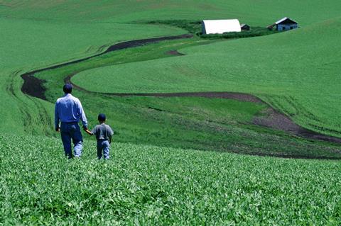 An image showing a father and son walking in a field