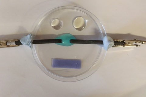 Microscale electrolysis of copper chloride in petri dish