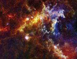 Baby stars in the Rosette molecular cloud