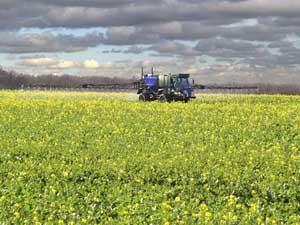 A farmer spraying his crops to protect them