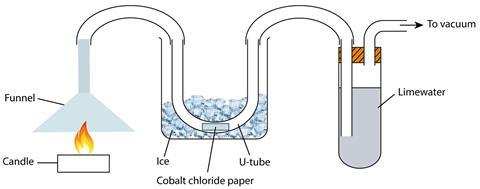 Apparatus diagram - the burning candle demonstration