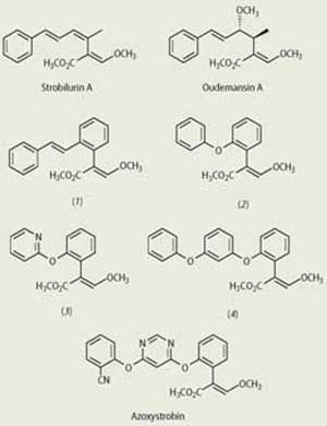 BR112015013895B1 - COMPOUND, AGRICULTURAL COMPOSITION, USING A COMPOUND,  METHOD TO COMBAT ANIMAL PEST, METHOD TO PROTECT CROPS, METHOD TO PROTECT  SEEDS, METHOD TO PREPARE A COMPOSITION AND METHOD TO PREPARE A COMPOUND 