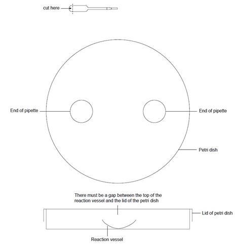 A diagram illustrating a plastic Petri dish containing the ends of two pipettes from above and with a side-on view