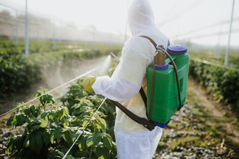A worker in a white coverall and rubber gloves using a backpack of pesticide to spray a crop