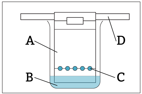 A diagram of a chromatography set up labelled A on the paper, B on the solvent, C on the sample dots and D on the bar holding the paper in the beaker