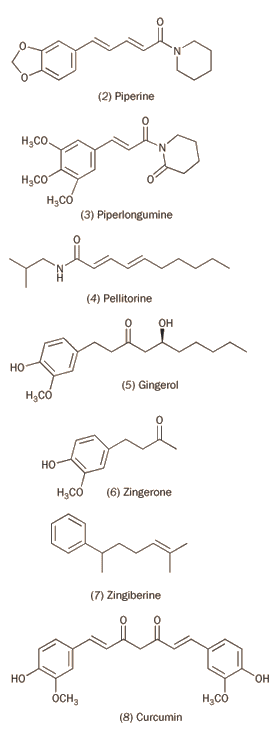A diagram illustrating the chemical structures of various compounds. The compounds are labelled as follows: (2) Piperine; (3) Piperlongumine; (4) Pellitorine; (5) Gingerol; (6) Zingerone; (7) Zingiberine; (8) Curcumin.