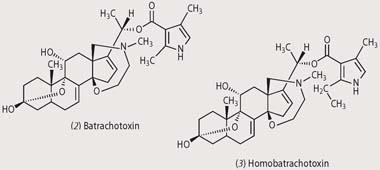 Structures of (2) batrachotoxin and (3) Homobatrachotoxin