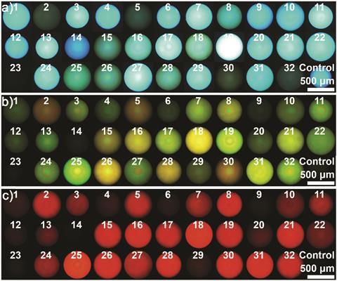 An image showing the fluorescence responses of one photonic sphere to 32 saccharides