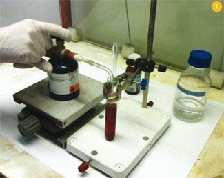 FEATURE-Bromine-p181-Fig 1-325