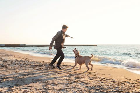An image showing a man playing catch with his dog at the beach