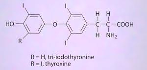 FEATURE-iodine-BOX-p123-300