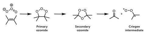 Ozone reacts with alkenes to produce a carbonyl and a biradical carbonyl oxide, known as a Criegee intermediate