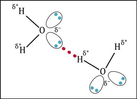 A diagram showing the hydrogen bond between two water molecules