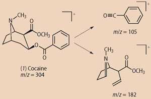 (1) cocaine m/z 304, split into m/z = 105 and m/z =182
