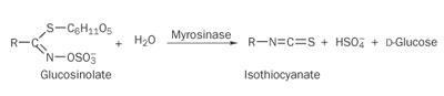 The hydrolysation process