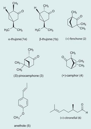 Absinthe: A Physical Reaction & the Famous Green Color