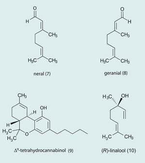 Structure of: neral (7), Gerenial (8), tetrahydrocannabinol (9), and linalool (10)
