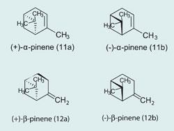 α-pinene and β-pinene