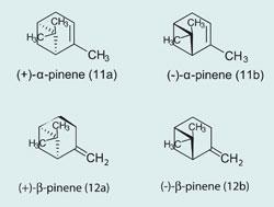 The Bizarre Science Of Why Absinthe Gets Cloudy When Mixed With Water