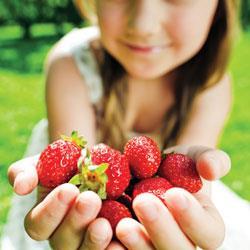 Strawberries