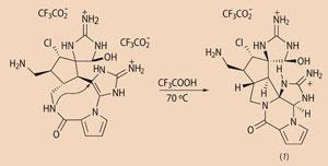 The reaction and process of making Palau'amine