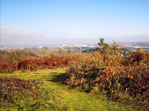 An image showing the Lickey Hill Country Park in Birmingham