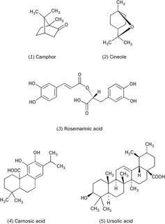 Rosemary related molecules: Camphor, cineole, rosemarinic acid, carnosic acid, ursolic acid