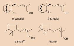 α-santalol, β-santalol, santaliff and javanol structures