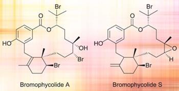 Bromophycolide A and S structures