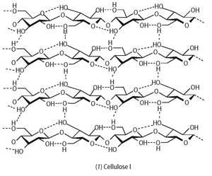 (1) Cellulose structure