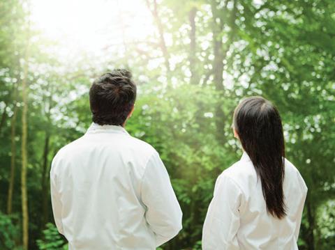 Scientists looking at trees