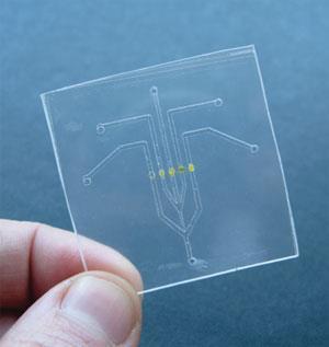 A microfluidic chip