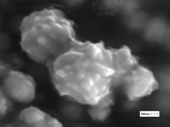 SEM image of metal particles in a QTC