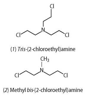 tris- and methyl bis-(2-chloroethyl)amine structures